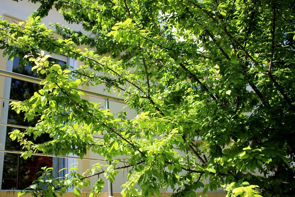 Villa Sofia Filoxenia House à Kalyves Extérieur photo